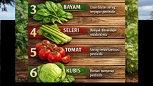 6 sayuran dengan kandungan pestisida paling tinggi