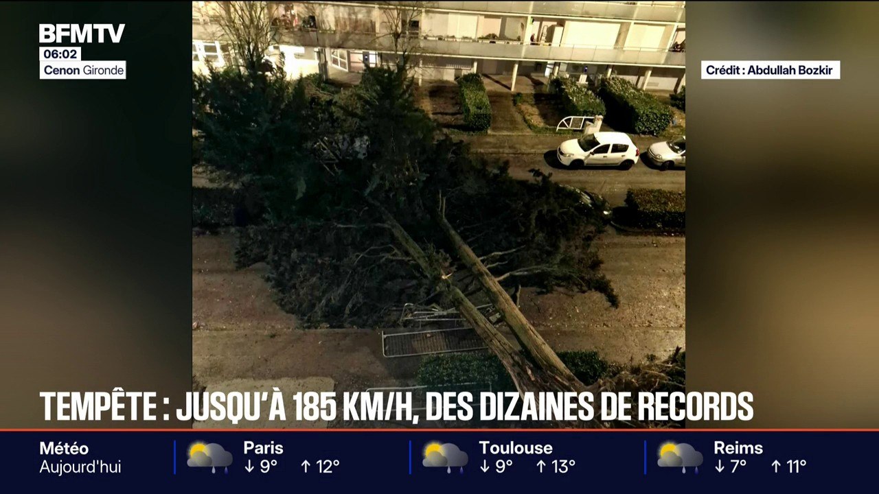 Arbres déracinés, risques de crues...La tempête Nils frappe la façade atlantique