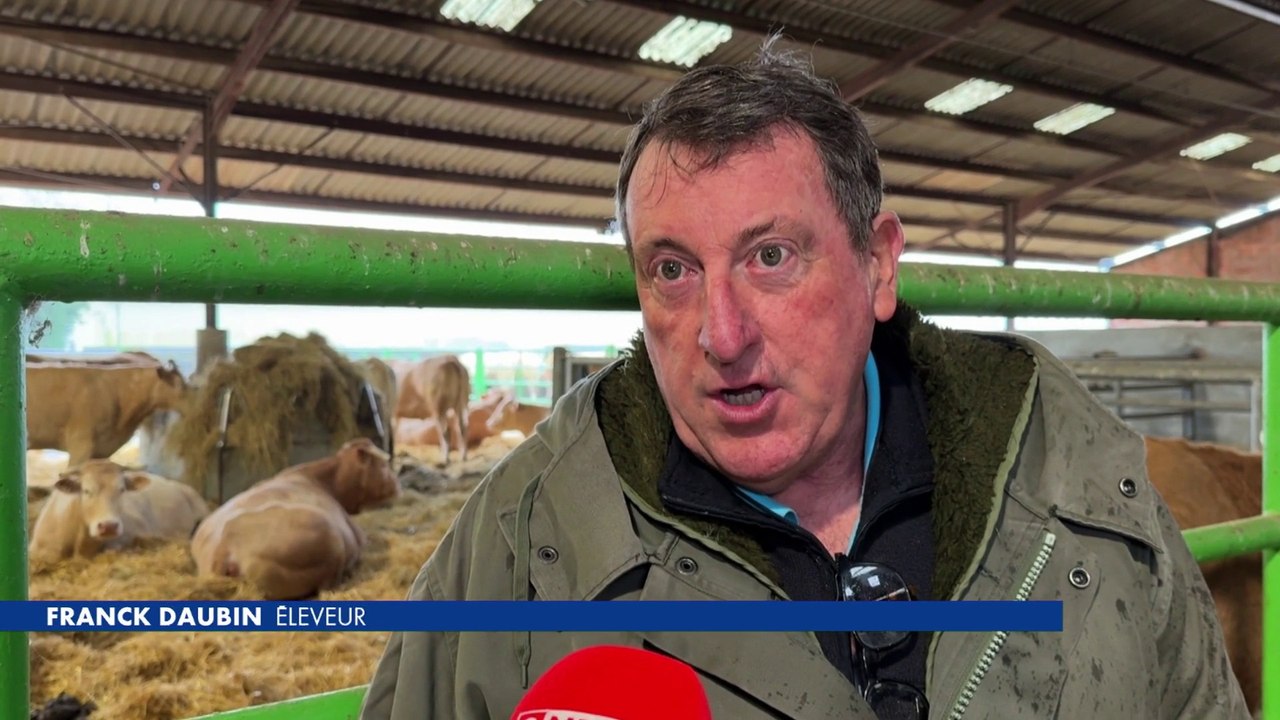 Limiter la viande : la colère des éleveurs