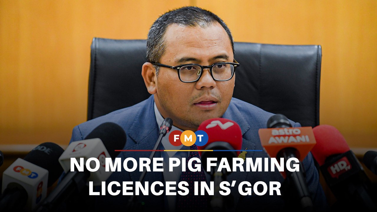 No more pig farming licences in Selangor, says Amirudin