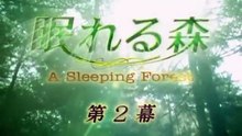 眠れる森ASleepingForest主題曲