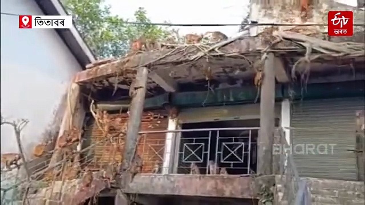 কপিকুলৰ উপদ্ৰৱত জীয়াই থাকিবলৈ সংগ্ৰাম অসমৰ এখন চহৰৰ ৰাইজৰ !