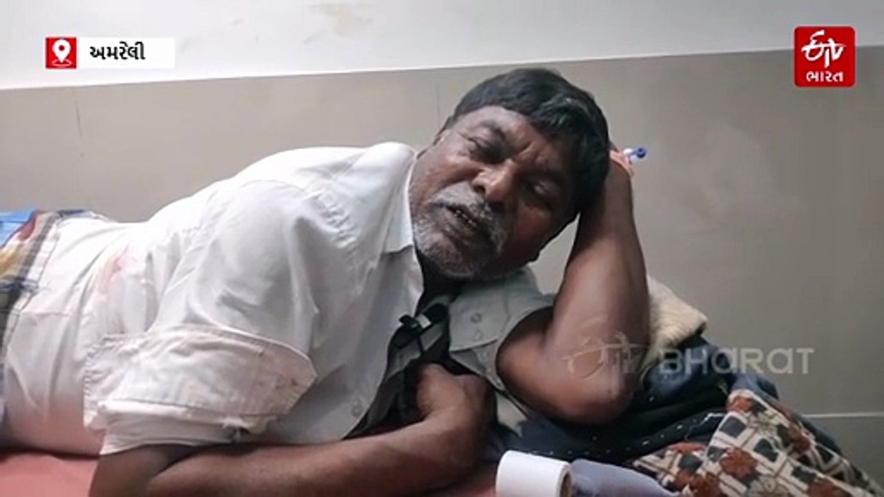 અમરેલીમાં હડકવા ઉપડેલી નીલગાયે ગામમાં આતંક મચાવ્યો, બે વ્યક્તિઓ ઈજાગ્રસ્ત થયા