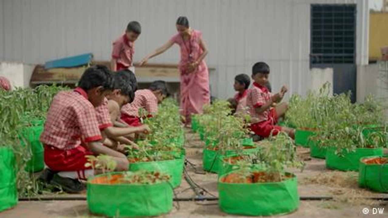 Urbanes Grün: Wenn Bürger ihre Stadt neu erfinden