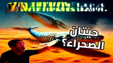 أسرار الصحراء الصادمة: حيتان عملاقة في وادي الموت! (لن تصدق ما حدث)