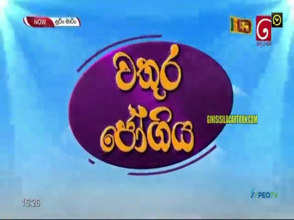 sm-19