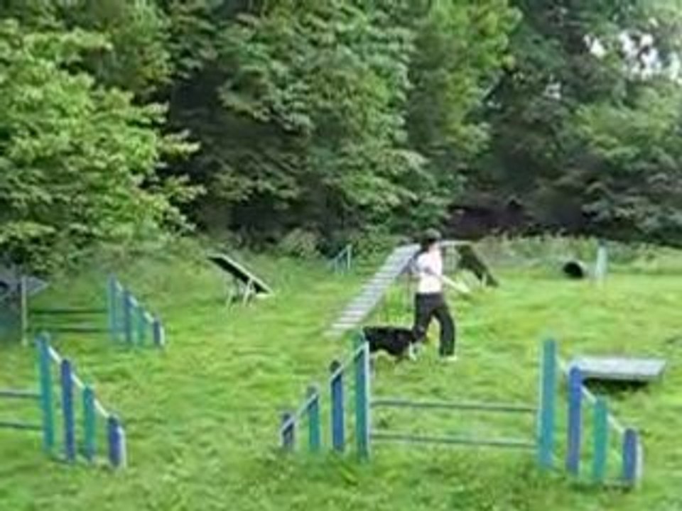 Agility 30 mai 160