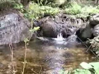 Truites en haute Vésubie