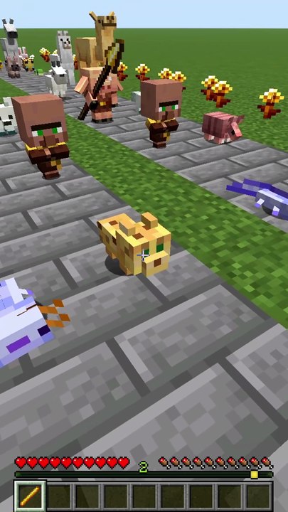 QUI EST LE PLUS MIGNON ? 😱