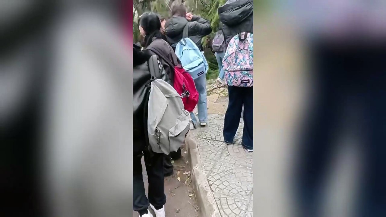 Albero crolla su un gruppo di studenti in viale Italia, le immagini dei soccorsi