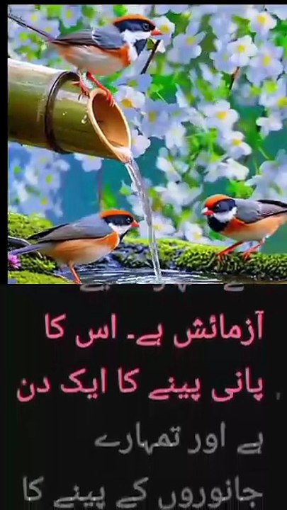 The Story of Prophet Saleh AS | Powerful Islamic Reminder About Faith, Patience & Allah’s Signs