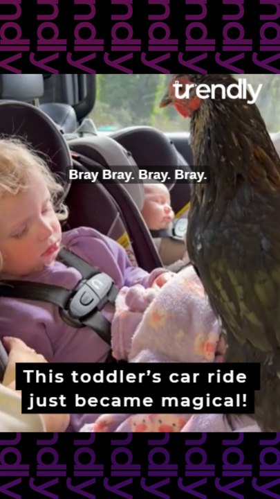 Toddler Wakes Up Happy When Pet Chicken Appears