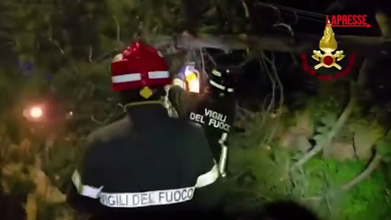 Maltempo in Sardegna, centinaia gli interventi dei vigili del fuoco per alberi pericolanti