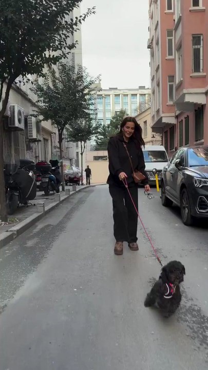 İstanbul'da dışarıya çıktığı için sevinçten 2 patisi üzerinde yürüyen köpek