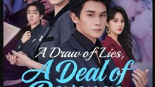 A Draw of Lies A Deal of Revenge Drama Movies English Sub