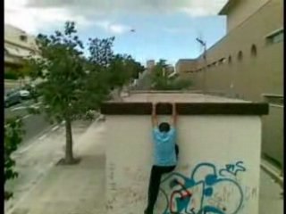 ADELANTO SAMPLER TEF