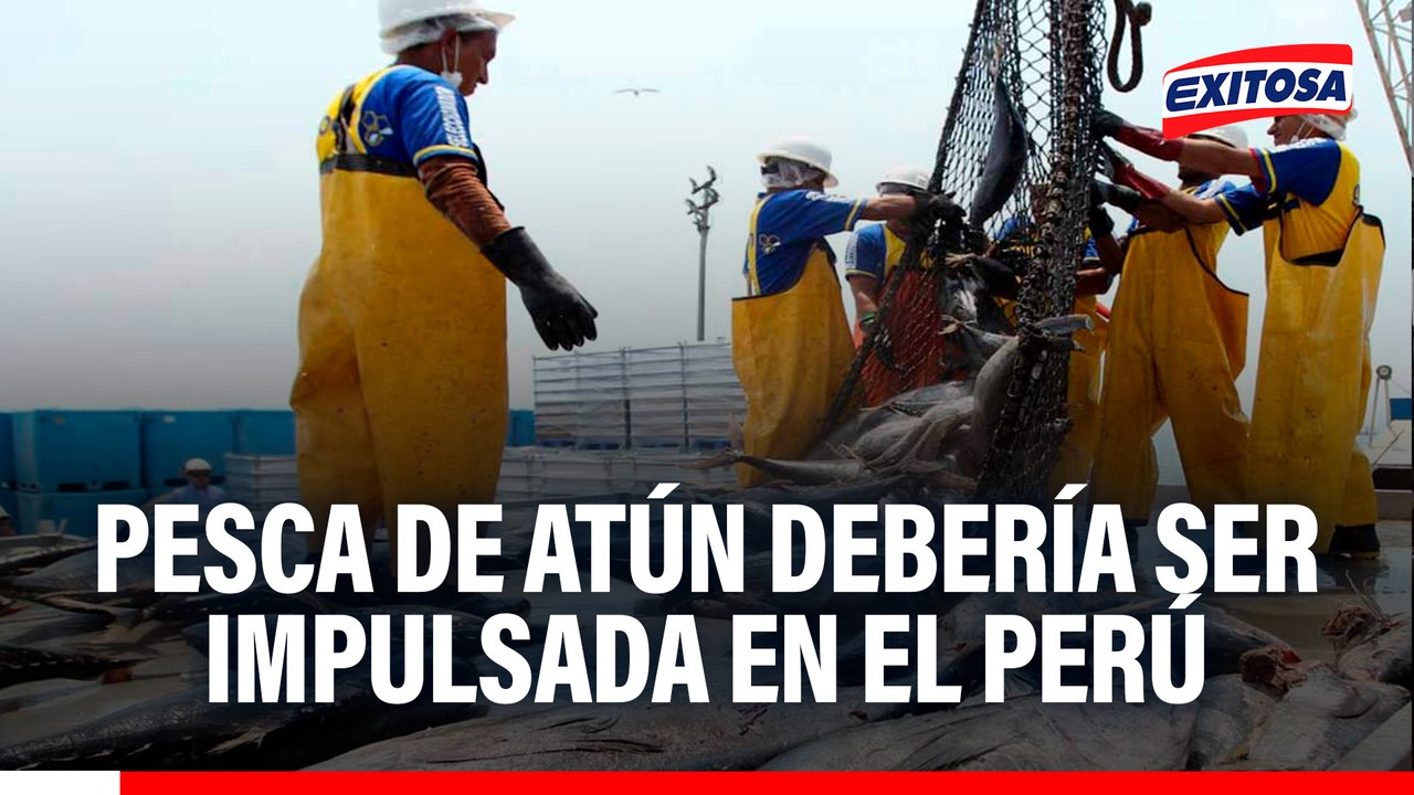 Pesca de Atún debería ser impulsada en el Perú, señala la SNP: No aprovechamos nuestros recursos