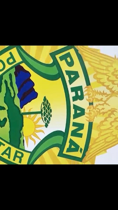 Contrabando de cigarros é flagrado na PR-182 e suspeito é preso em Francisco Alves