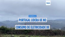 Portugal lidera UE com mais de 80% da eletricidade consumida em janeiro a vir de fontes renováveis
