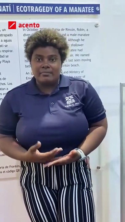 El avistamiento de ballenas atrae entre 30 y 40 turistas semanales al museo de las ballenas en Samaná