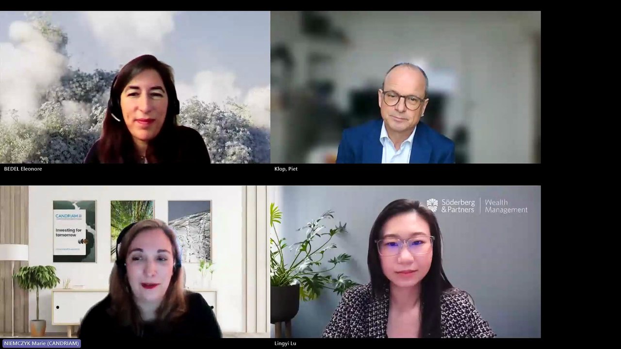 ESG No More, or Now More Than Ever? The Investors' Take