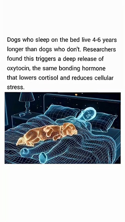 Do your dogs sleep with you_
