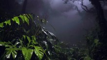 IS MANOA FALLS IN HAWAII HAUNTED?