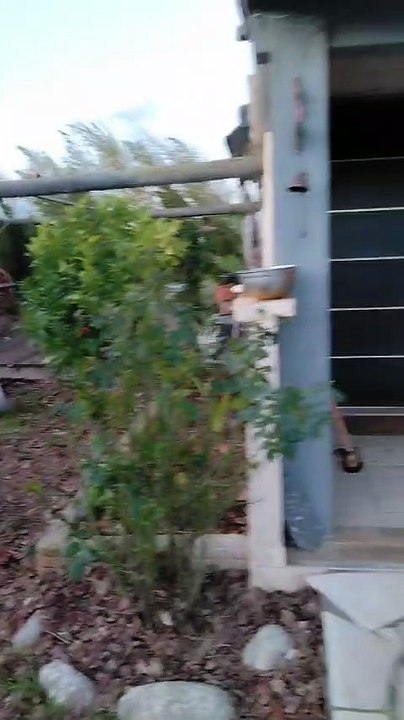 Un jardin sinistré à Salses le Château