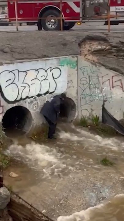 Fire crews rescue dog stuck in storm drain in SoCal