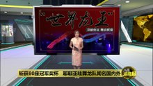 缔造大马最多冠军殊荣   柔新山夜光舞龙震撼人心