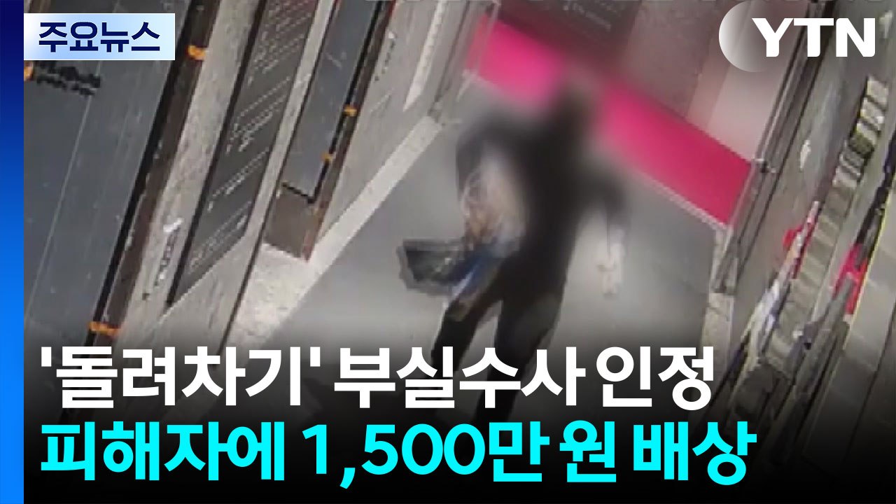 "부산 돌려차기 사건 부실수사"...국가 배상책임 인정 / YTN