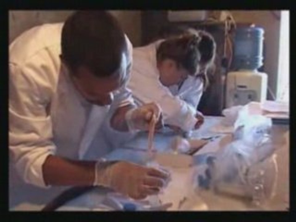 Armes chimiques  immergées -  II  -