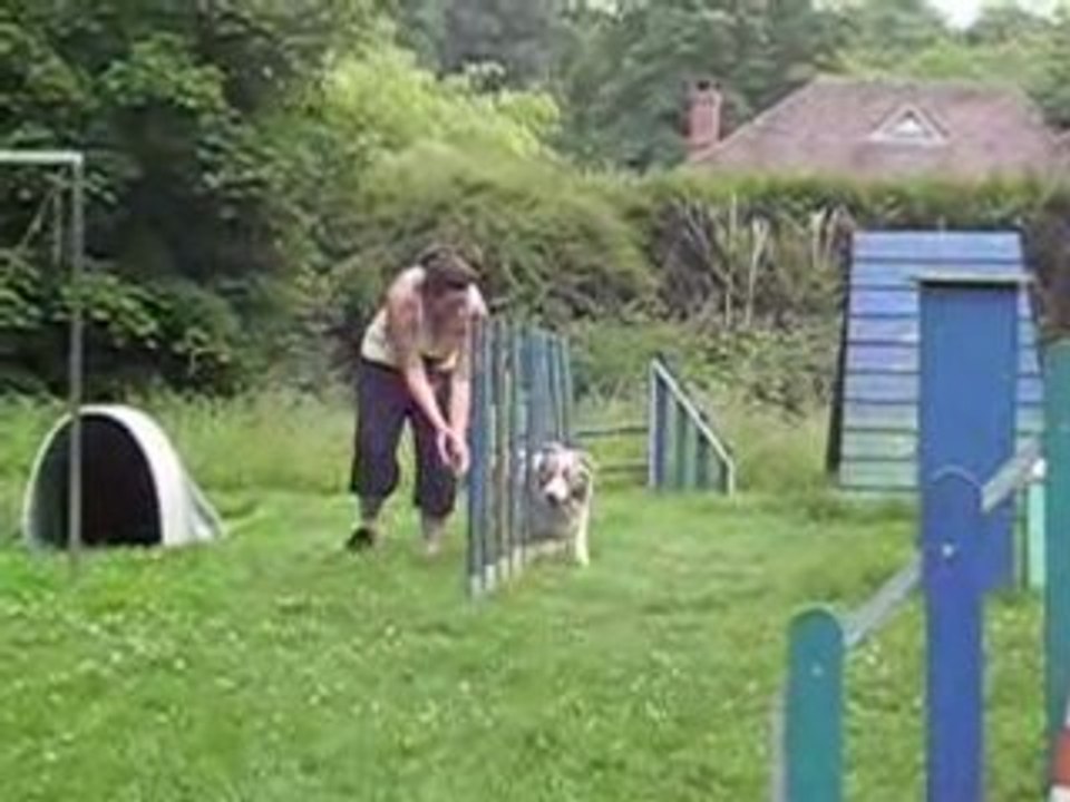 Agility 30 mai 161
