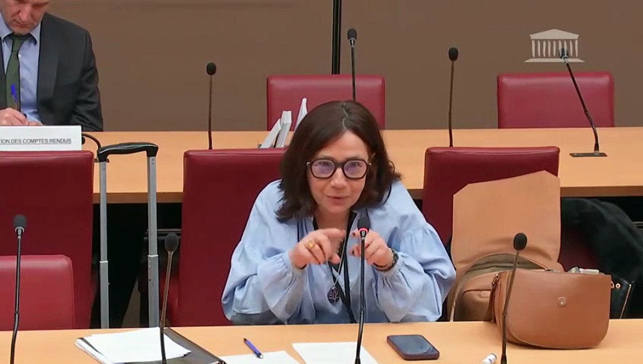 Prédation des capacités productives par les fonds spéculatifs : Auditions diverses - Jeudi 12 février 2026