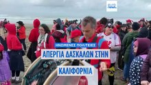 Ειδήσεις | 13 Φεβρουαρίου 2026 - Πρωινό δελτίο