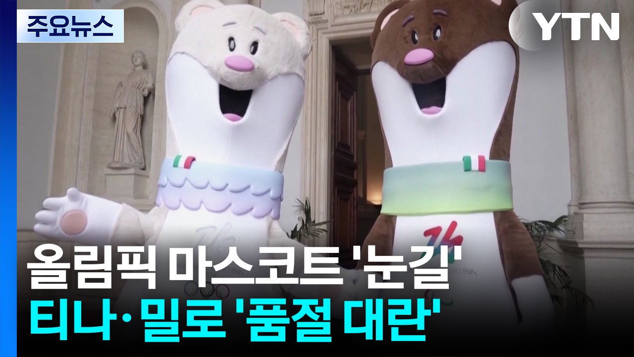 "숨을 곳이 없어요"...'티나'를 구해주세요! / YTN
