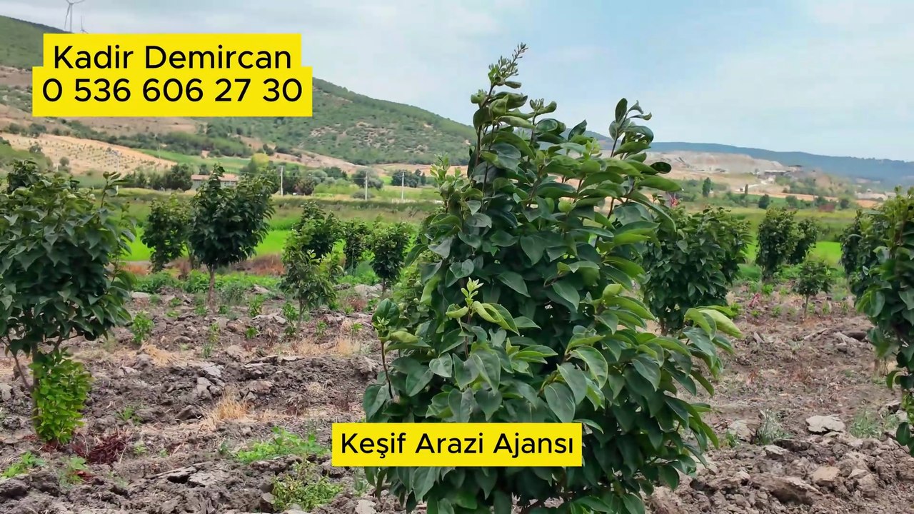 Çanakkale Biga Çan ve Yenice de; Arazi Emlak  Çekimleri, Her Türlü Reklam Tanıtım Filmleri  Çekimleri- Drone Video Fotograf Çekimi - Montaj- Kurgu- Yayın Reklam İşleriniz hesaplı şekilde yapılır. Keşif Arazi Ajansı Kadir Demircan 0536 606 2730