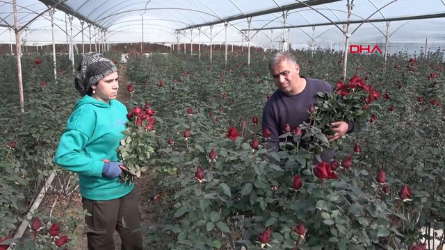 Eşi seviyor diye üretime başladı: Siparişlere yetişemiyor