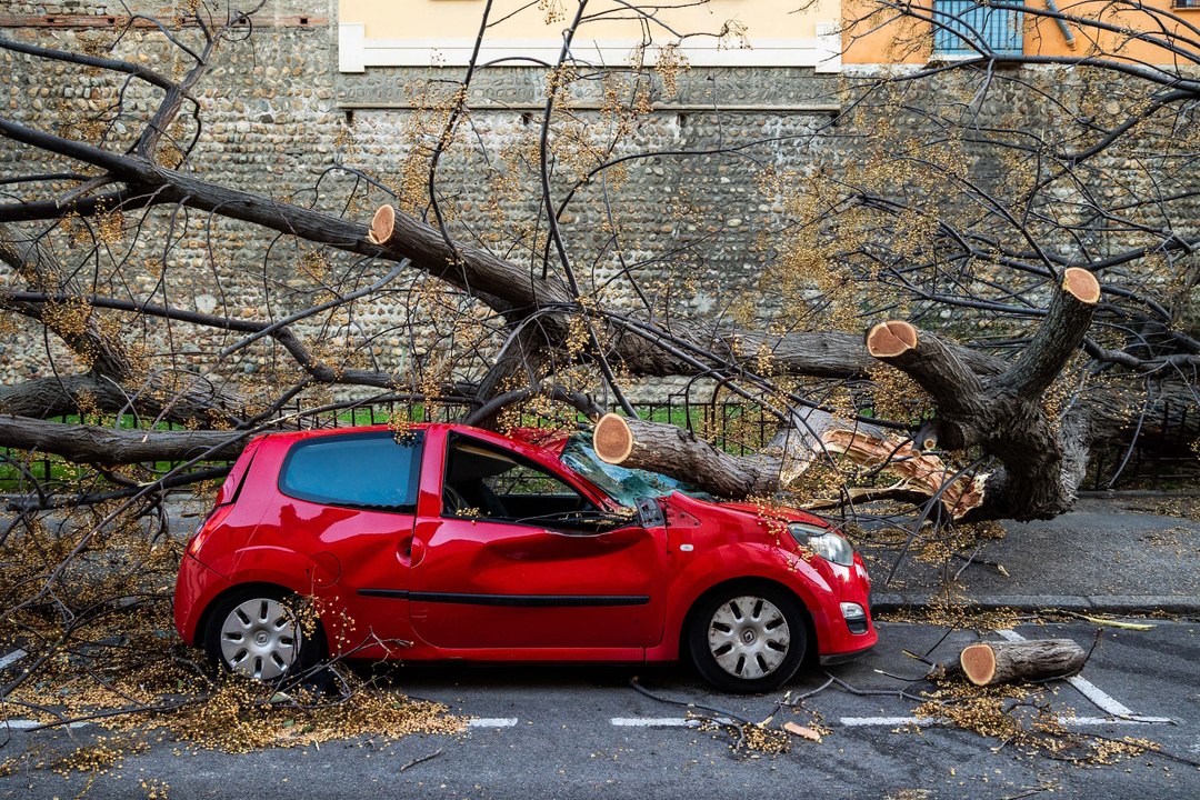 Plusieurs morts, des blessés graves, de gros dégâts... le bilan tragique de la tempête Nils