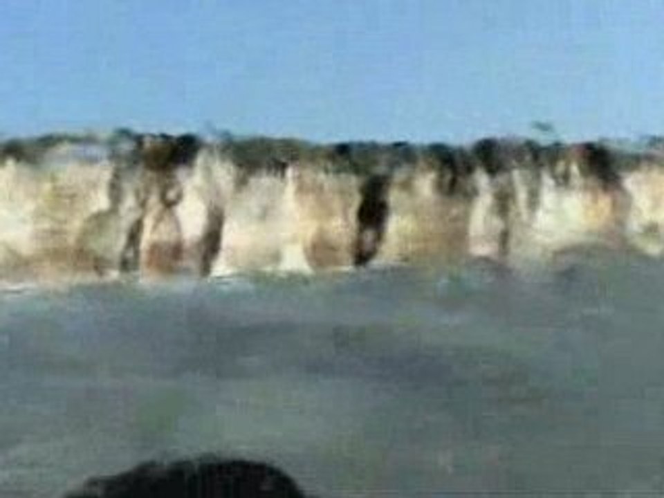 WINDSURF : Dalles inside