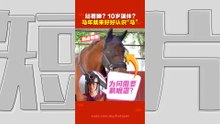 马年说马｜同样是马   骑乘马与赛马  过着不一样的“马生”