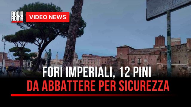 Fori Imperiali, 12 pini da abbattere per sicurezza