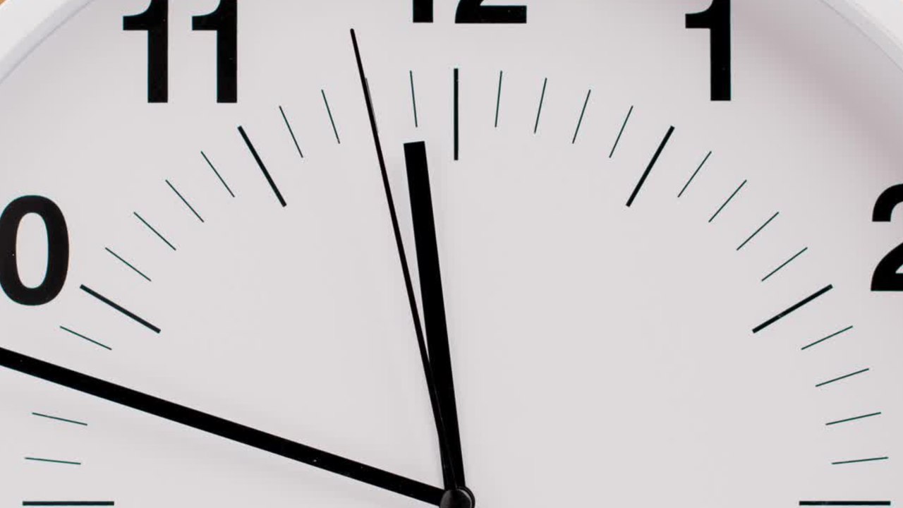 ECTLS - chats chiens aspi