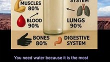 why you need water