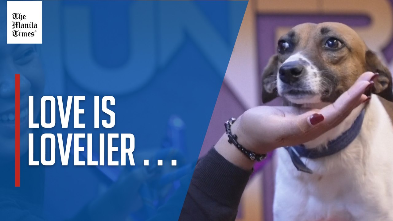 Second chances and first dates for Manila’s rescued pets