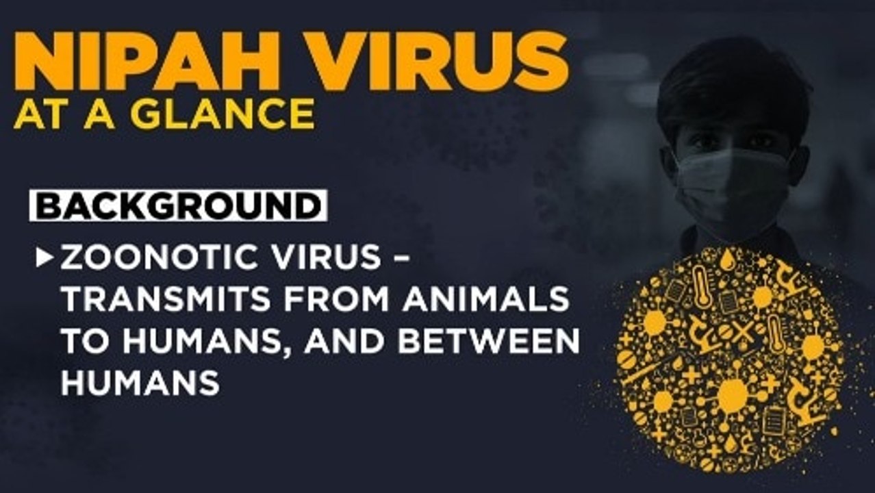Nipah alert in West Bengal: All your queries answered
