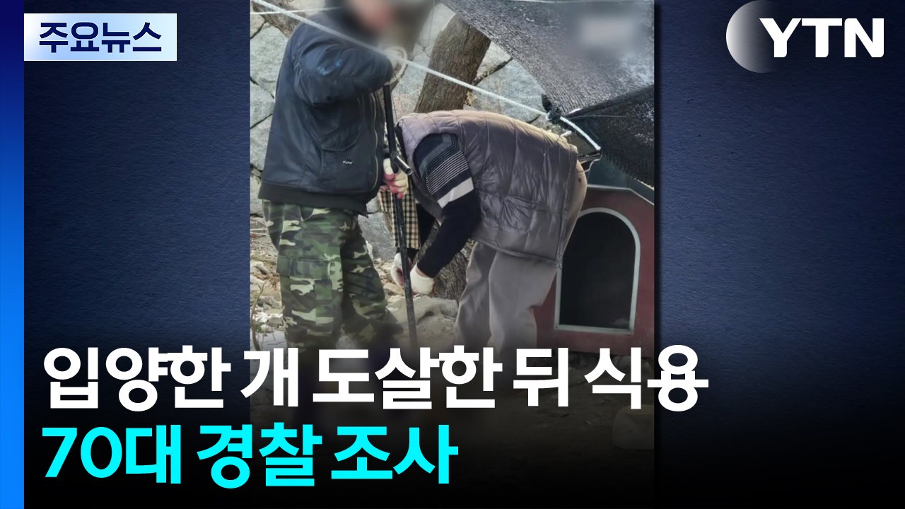 공공기관서 입양한 반려견 3마리 도살...70대 경찰 조사 / YTN