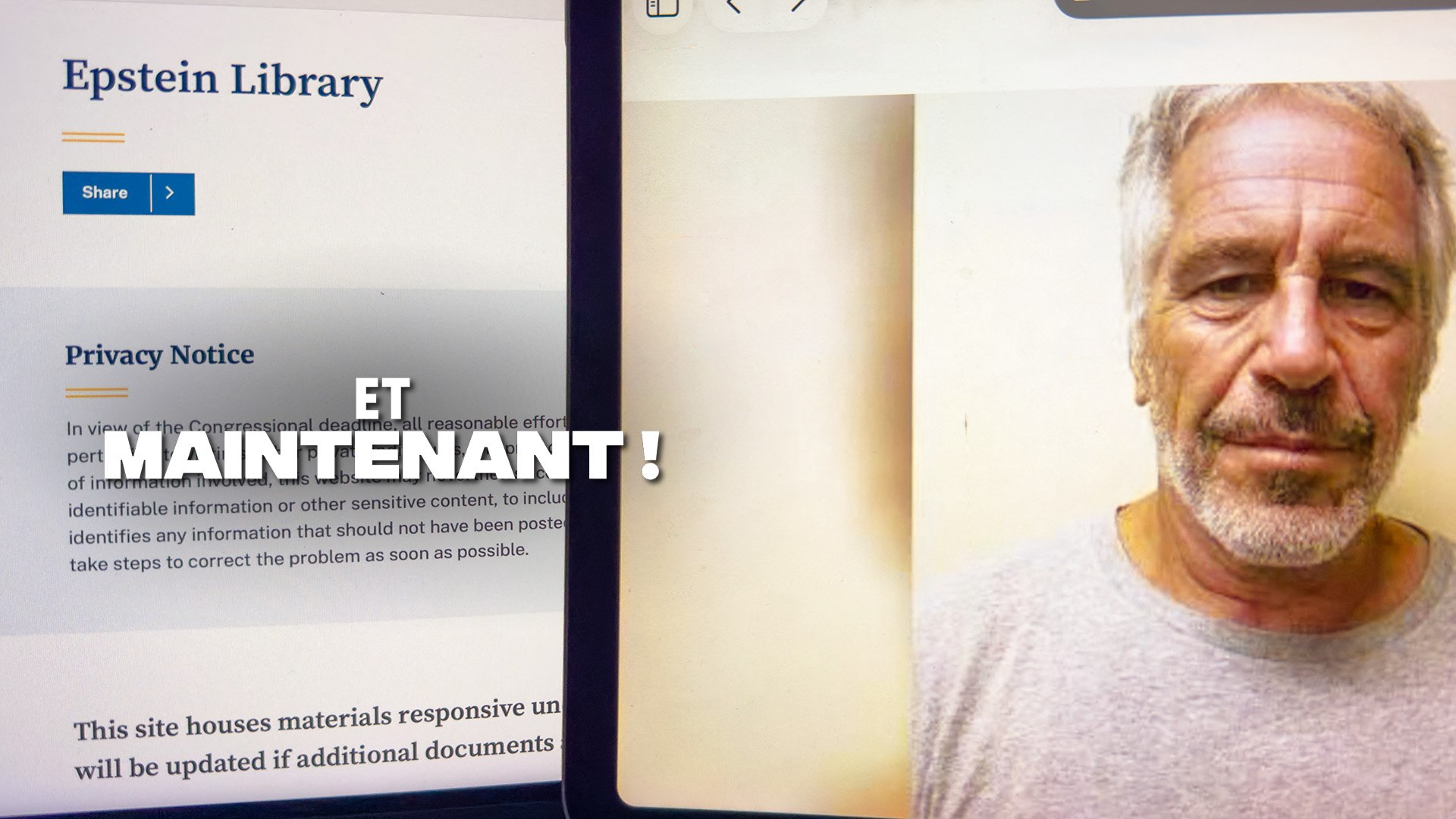 Epstein : une affaire française ?