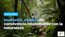 Imaforest, modelo de convivencia responsable con la naturaleza