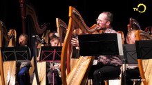 Sans commentaire: Concert de harpe